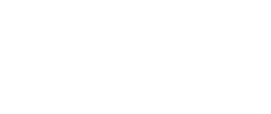 the Chamber Guys Logo