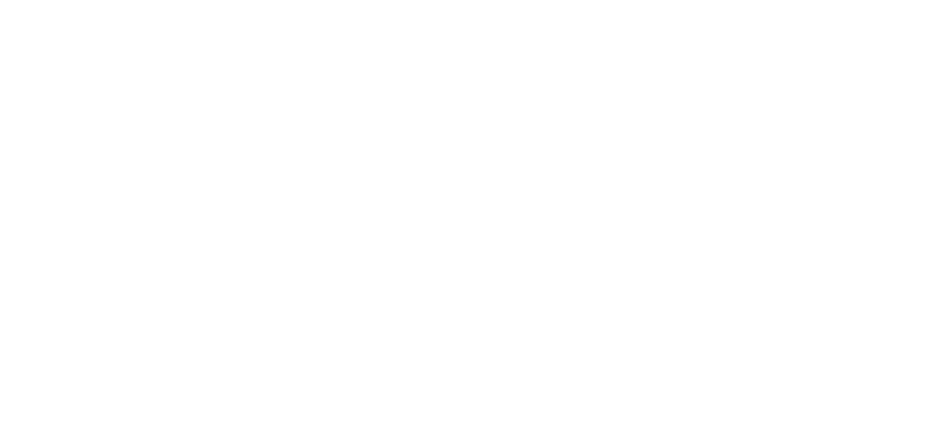 The Chamber Guys Logo