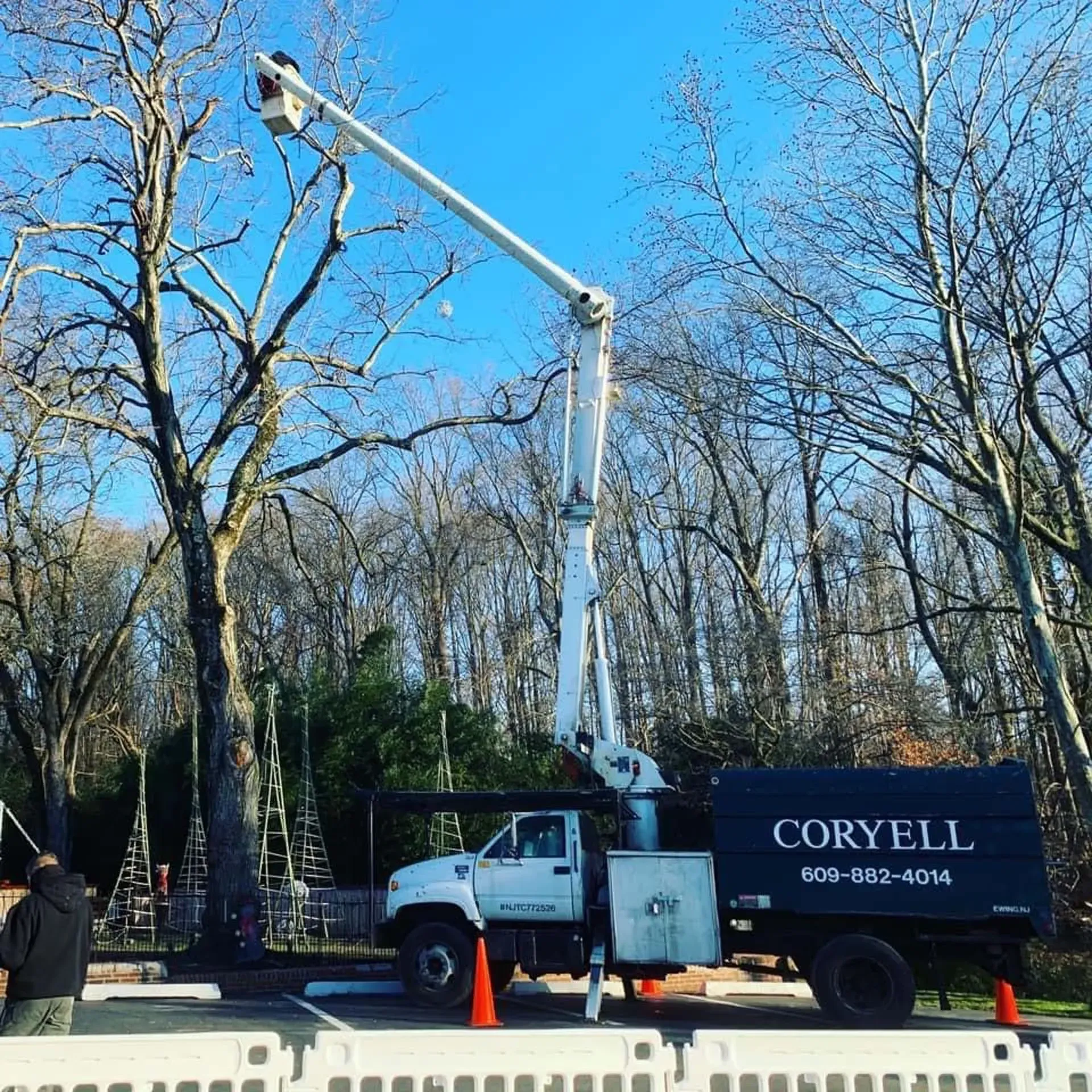 A tree trimming service in Trenton, NJ by Coryell Tree Service