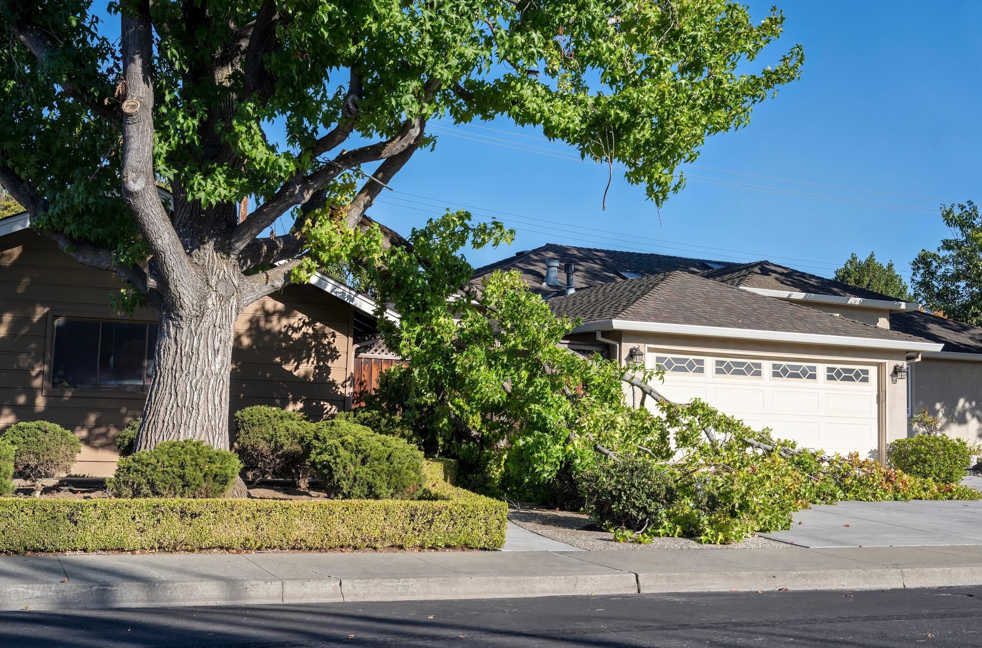 A storm damage clean up service in Trenton, NJ by Coryell Tree Service