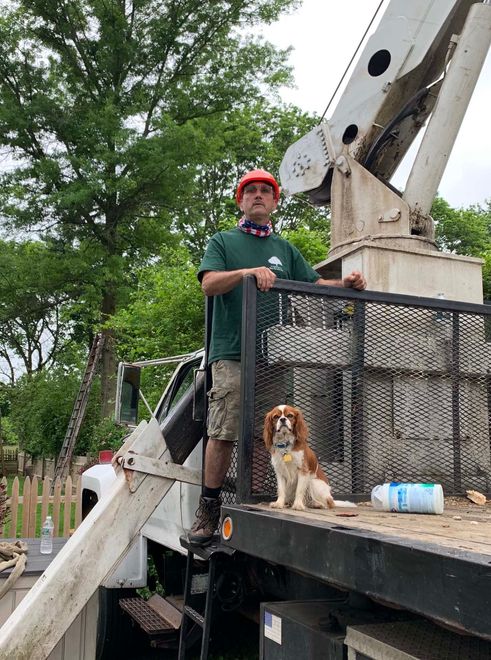 The owners of Coryell Tree Service in Trenton, NJ - hard at work The owners of Coryell Tree Service in Trenton, NJ - hard at work