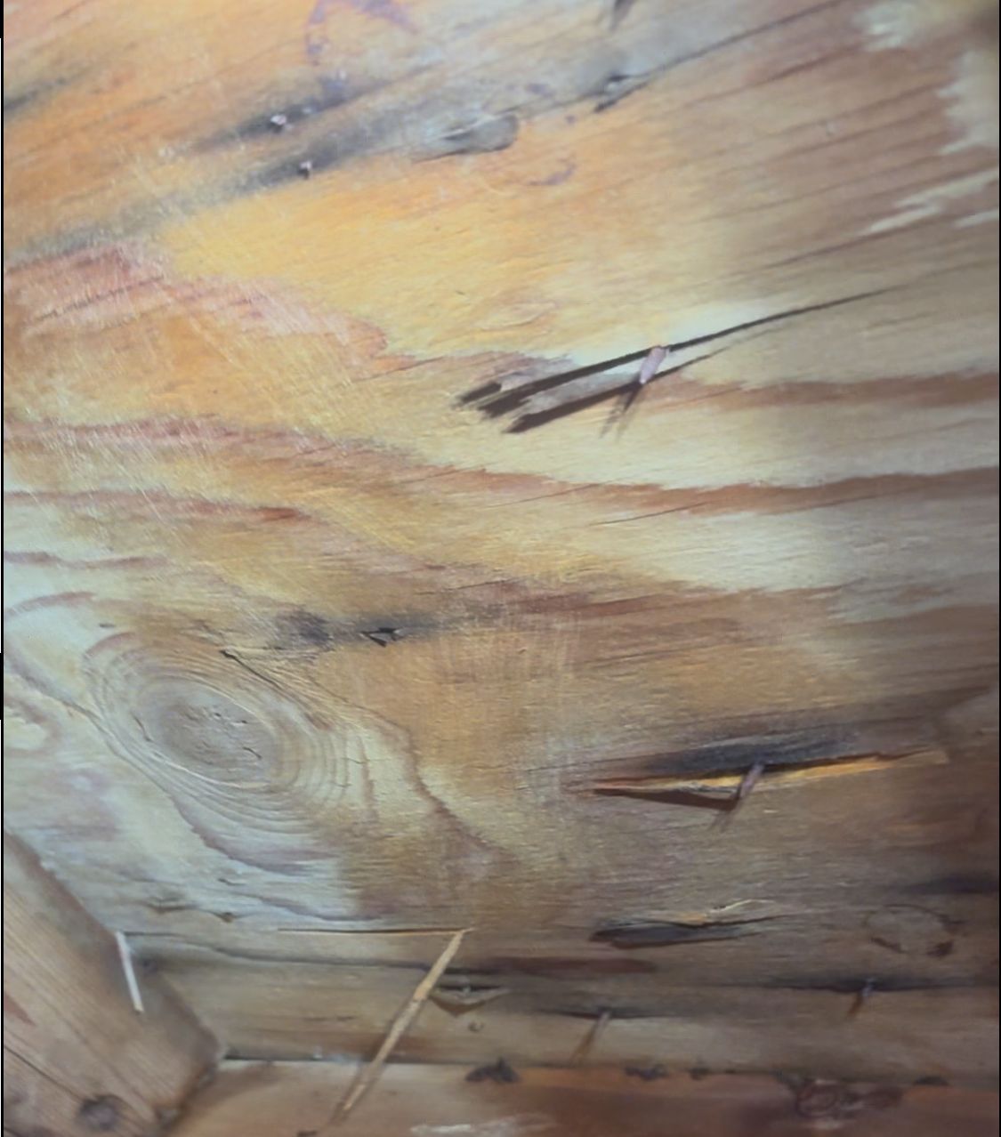 A close up of a piece of wood with nails sticking out of it.