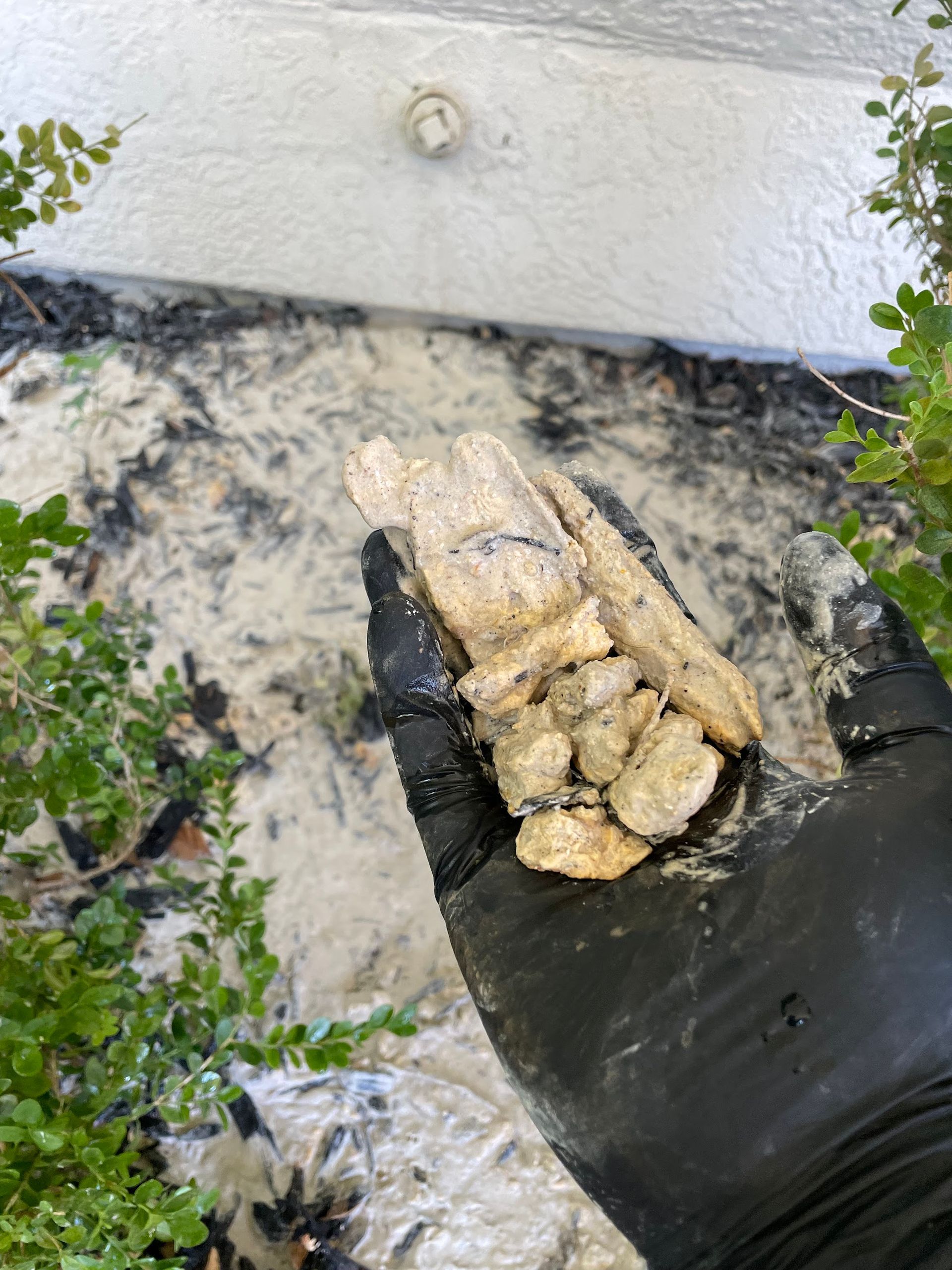 A person is holding a piece of wood in their hand.