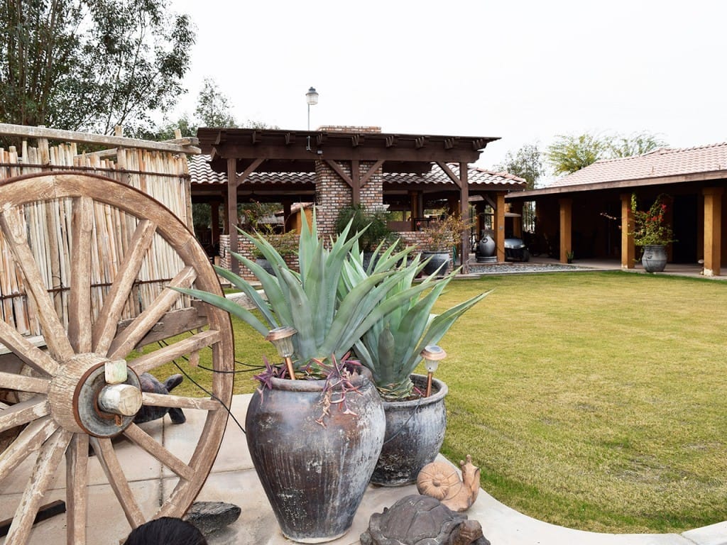 Plants on Huge Vase — Imperial, CA — NS Construction