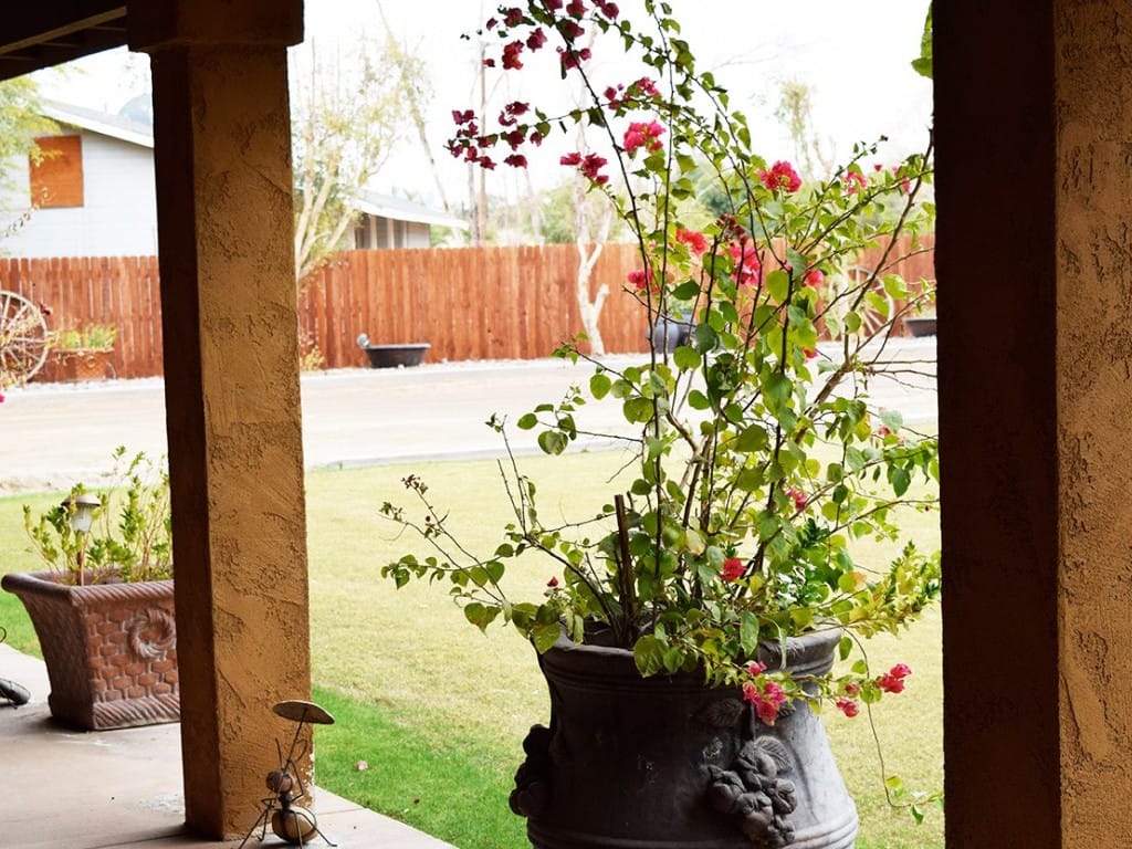 Patio House with Flowers — Imperial, CA — NS Construction