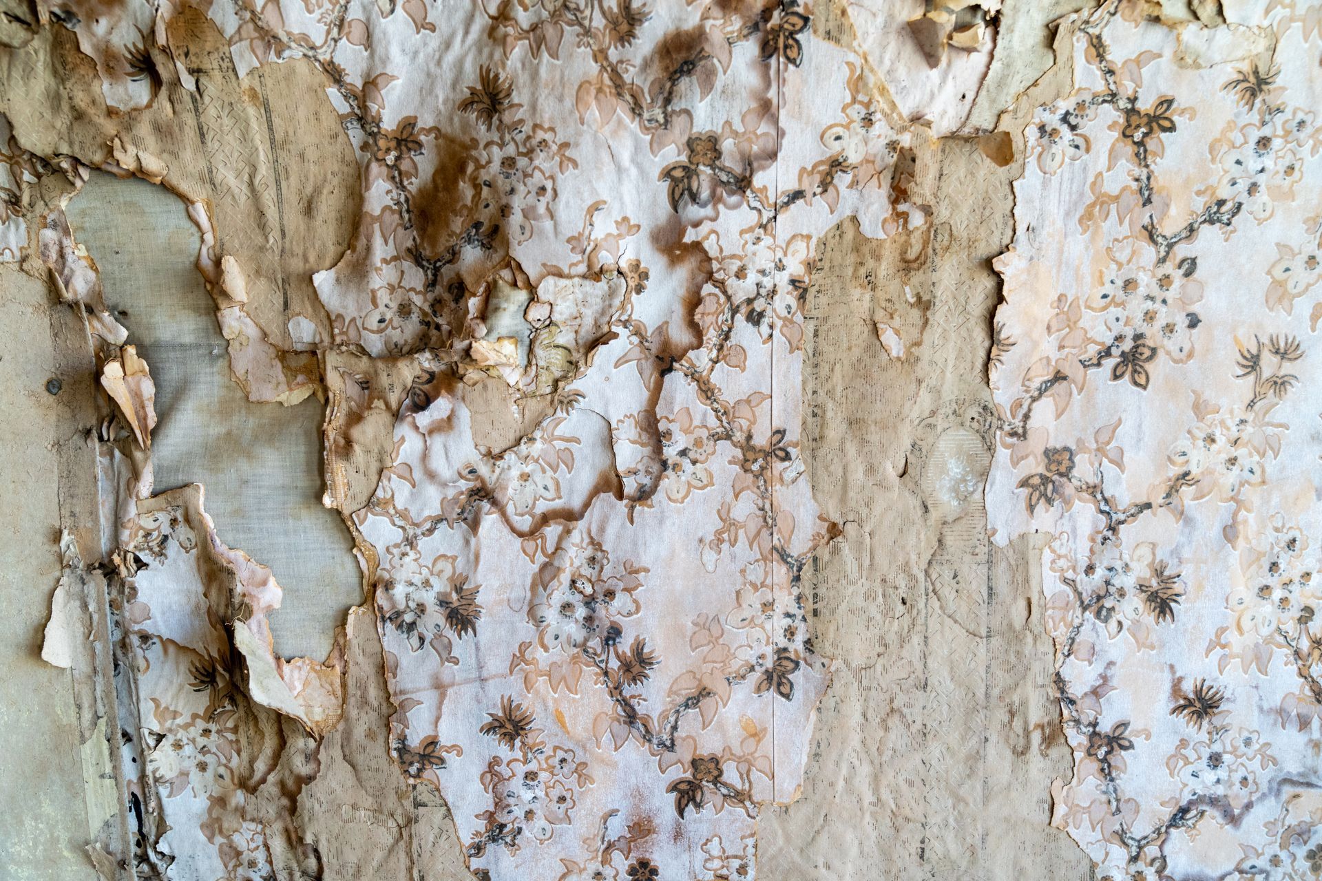 Peeling, water-stained floral wallpaper showing extensive Water Damage Restoration needs.