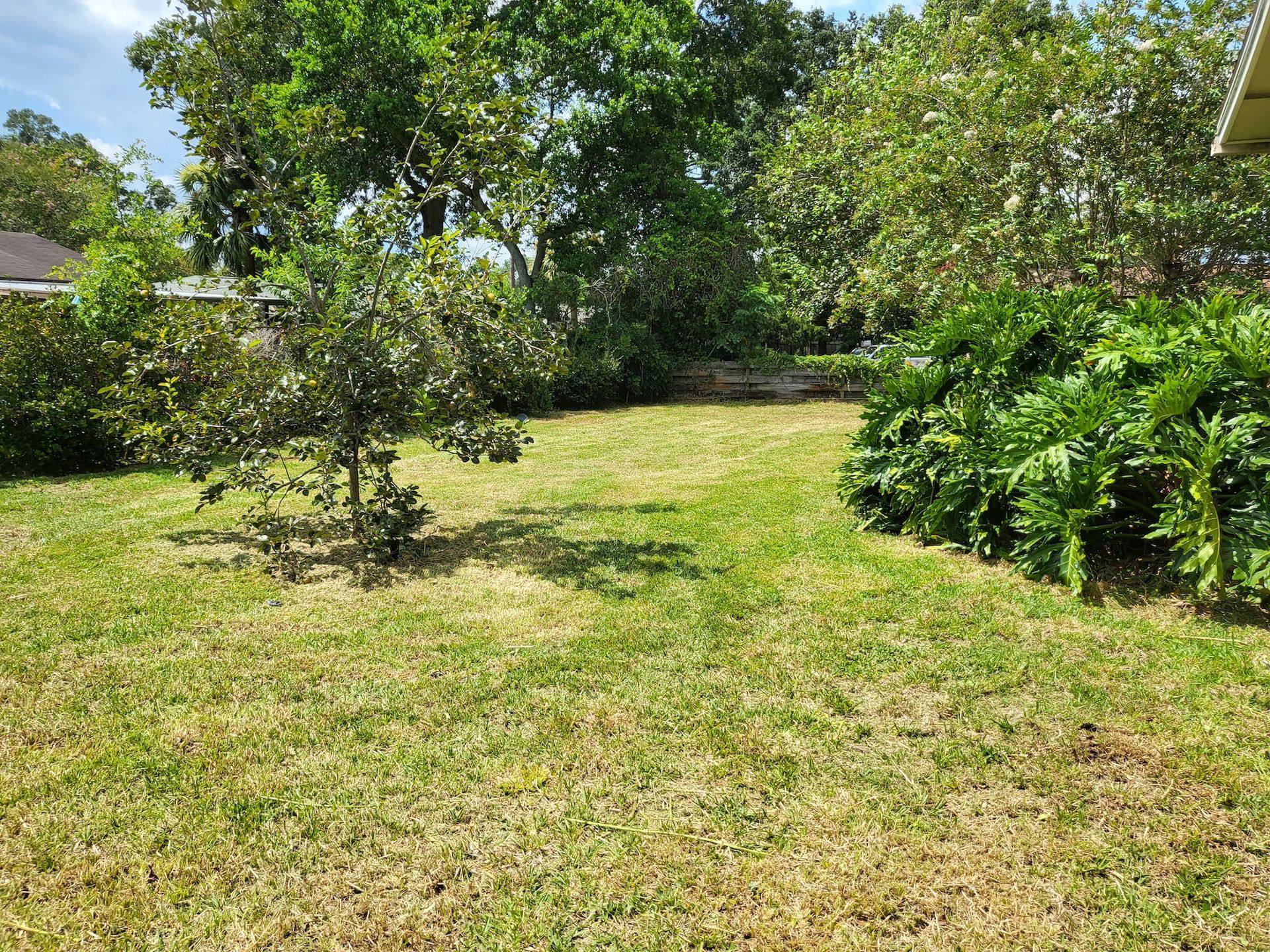 residential lawn mowing service performed