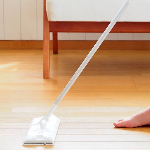a person is cleaning a wooden floor with a mop .