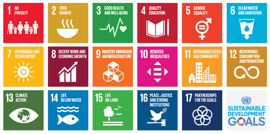 Sustainable Development Goals and First Principles Thinking