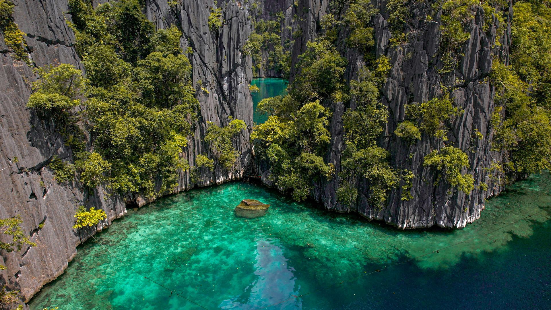 An aerial view of a small island in the middle of a lake surrounded by trees.