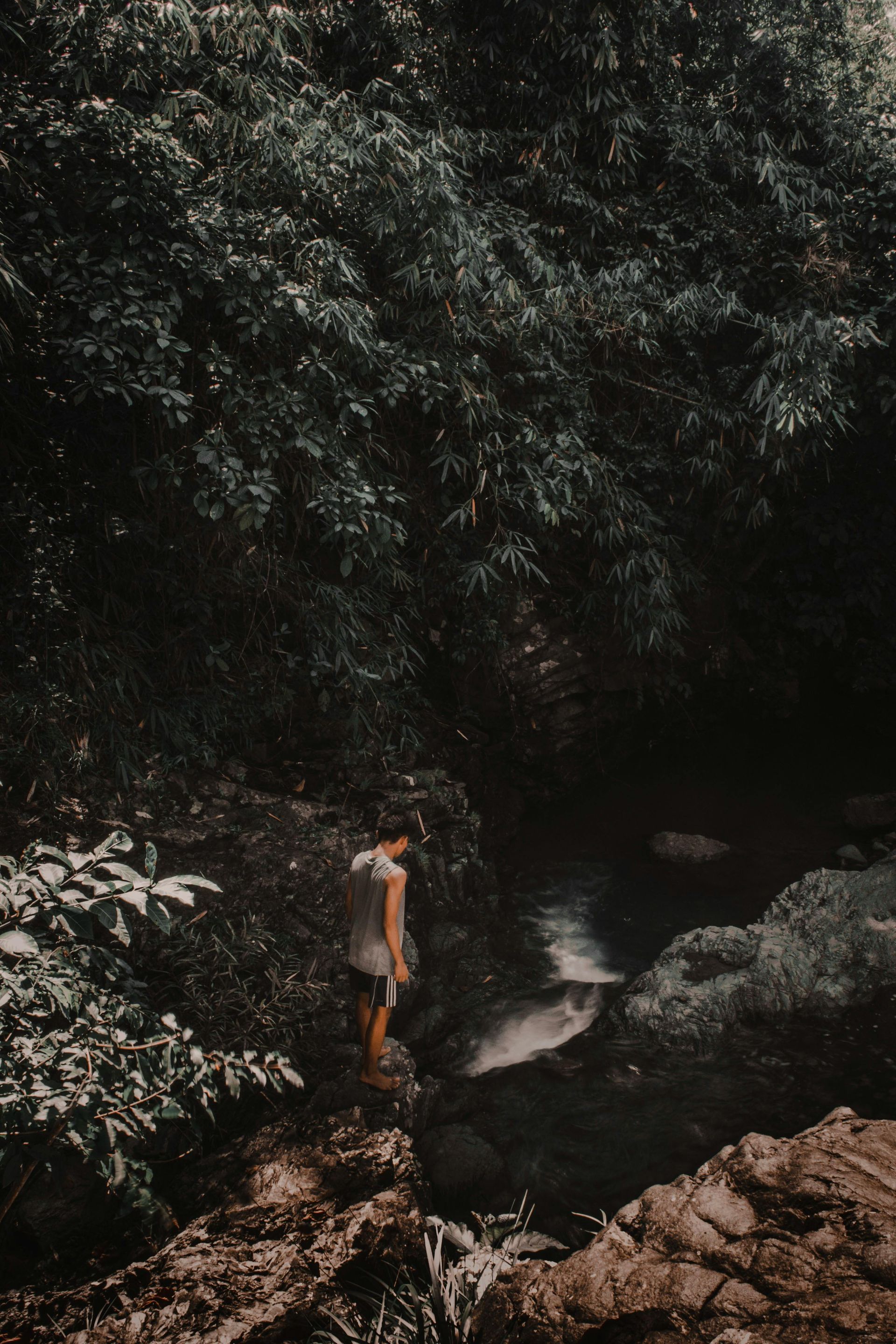 A man is standing next to a river in the woods.