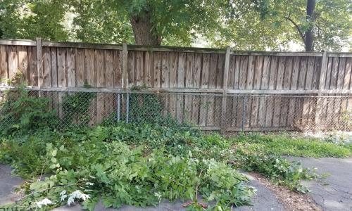 Residential Dumpster Rental in Camp Verde, AZ