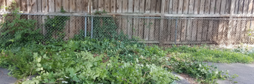 Residential Dumpster Rental Camp Verde AZ