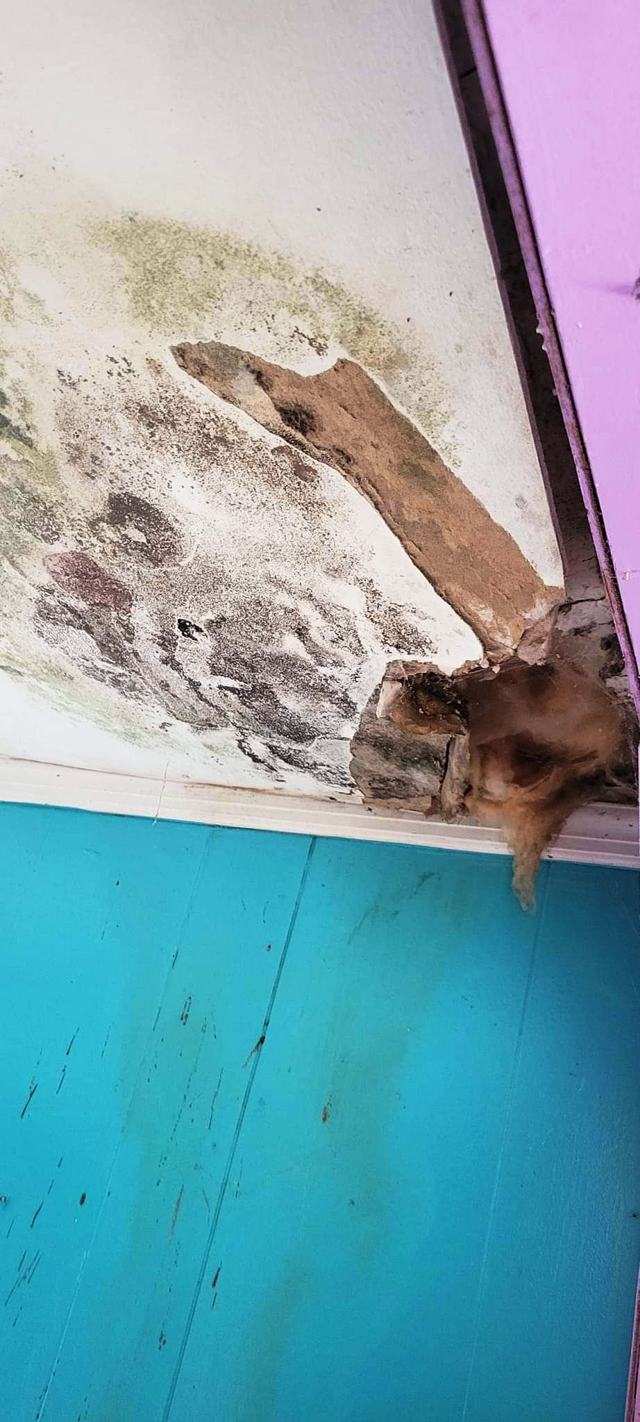 SGT. SHREDDER Rocking To Heal Vets, Inc. event photo,