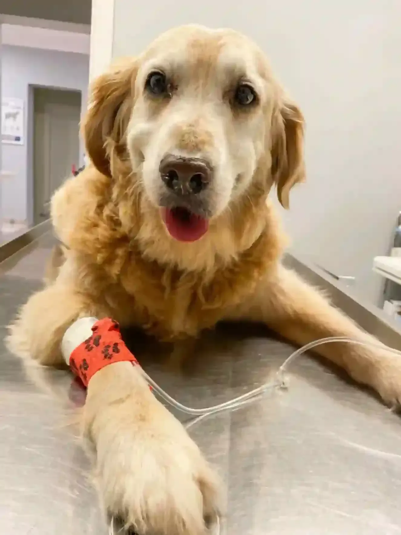 Quick Recovery