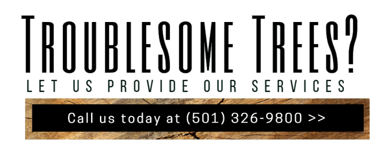 Troublesome Trees? Call for tree service and removal: (501) 326-9800