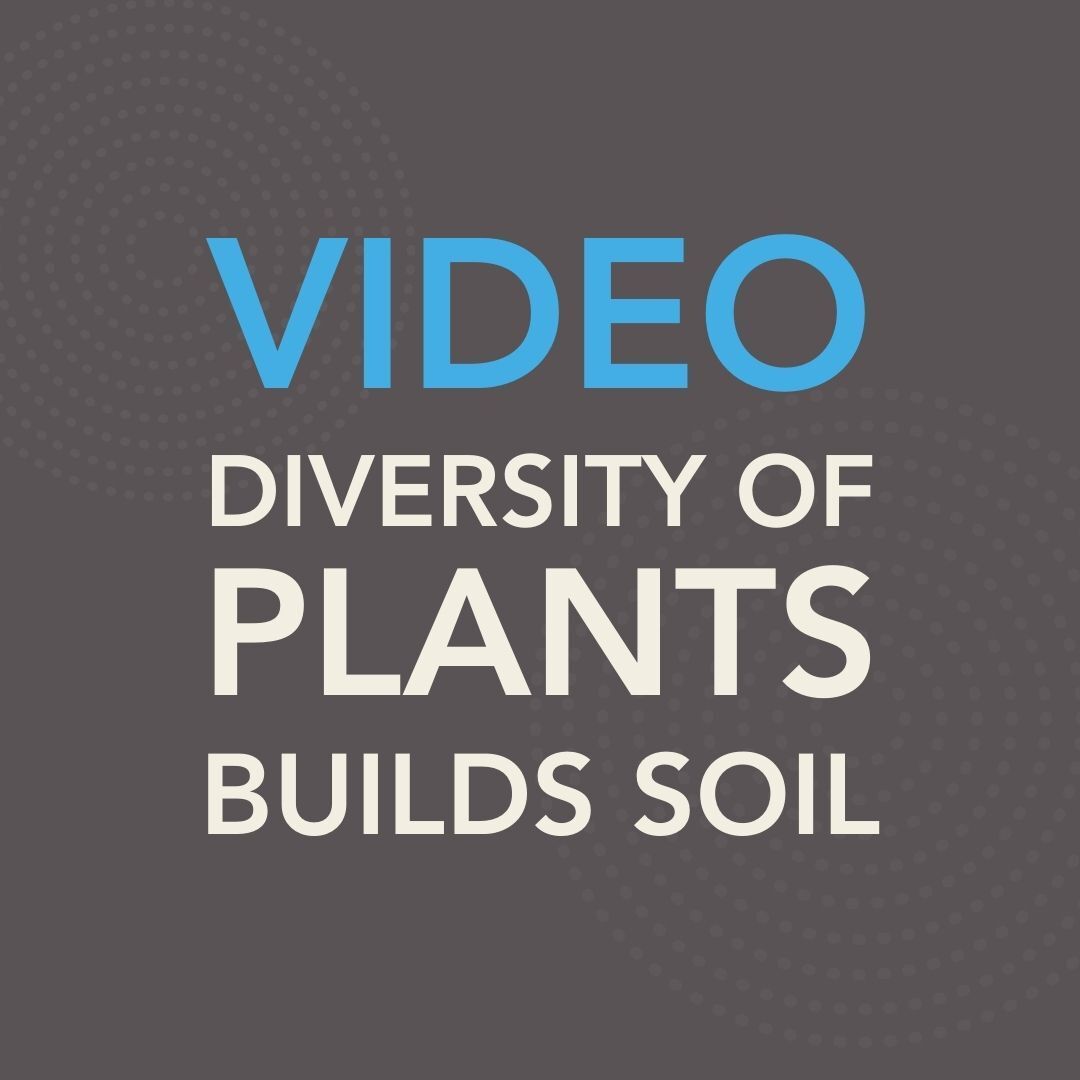 Video Diversity of Plants Builds Soil