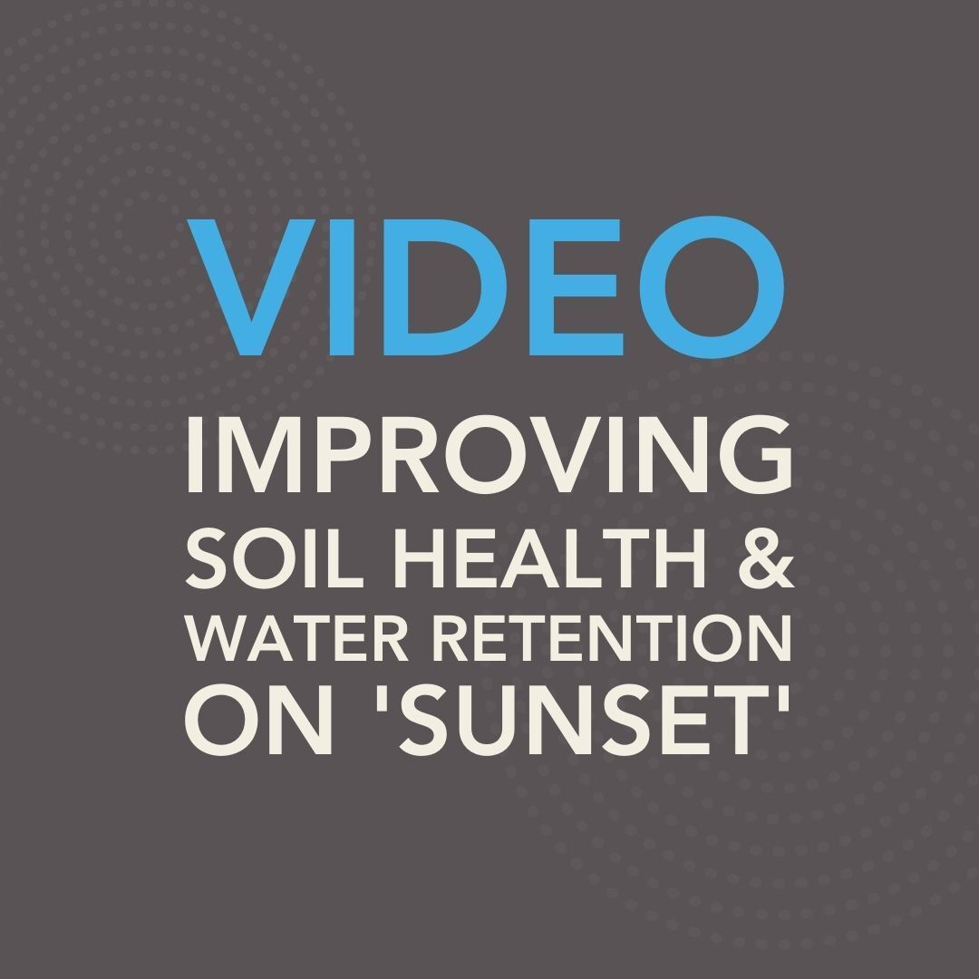 Video Improving Soil Health & Water Retention on Sunset