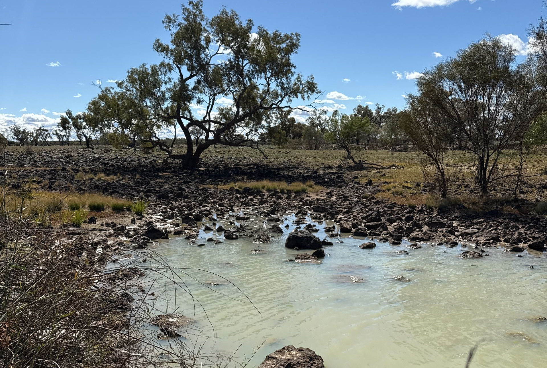 The Manu Manu Creek Fish Traps