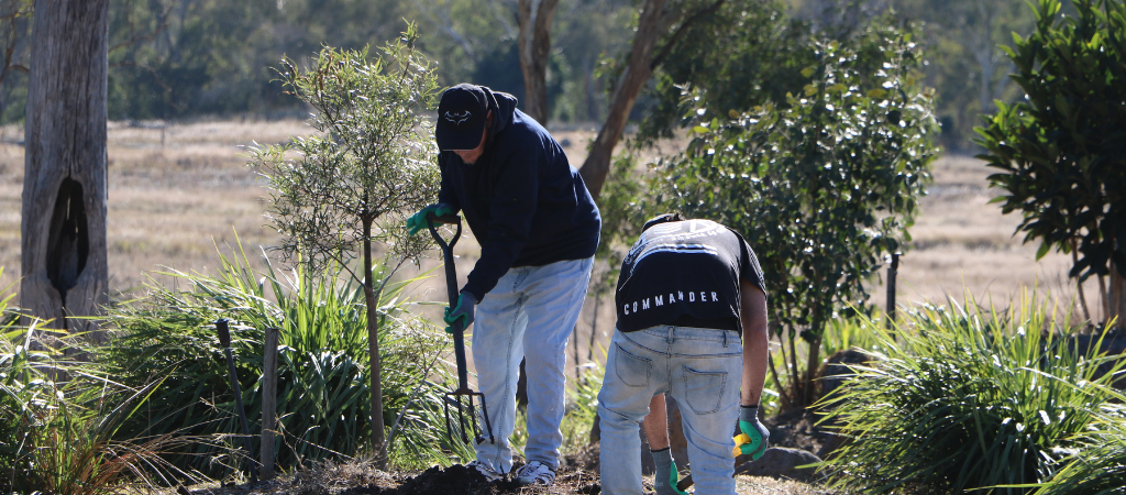 Bush medicine in Australia’s backyard