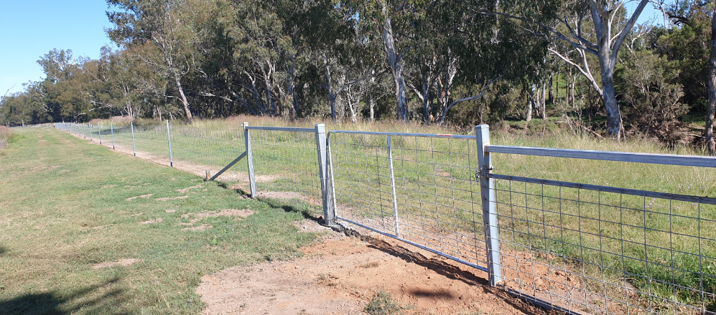 Macintyre Brook on road to recovery following fencing project