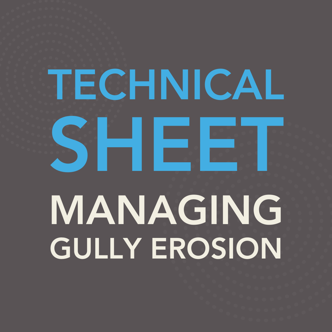 Managing Gully Erosion