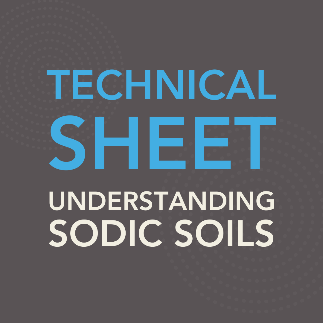 Understanding Sodic Soils