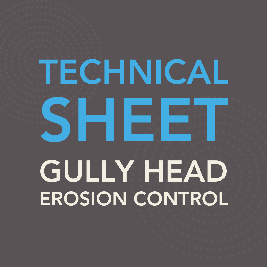 Gully Erosion Control