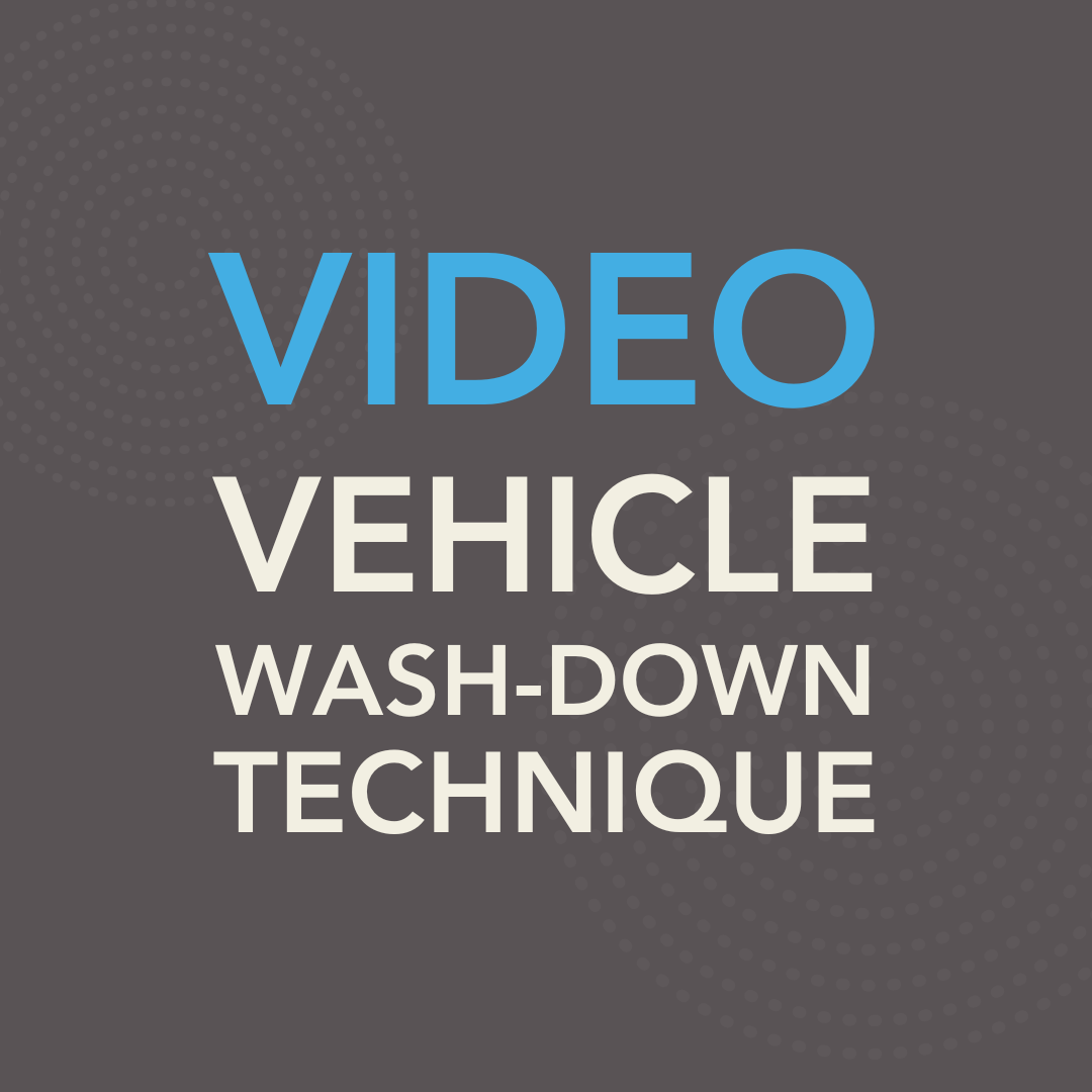 Diversity of plants builds soil