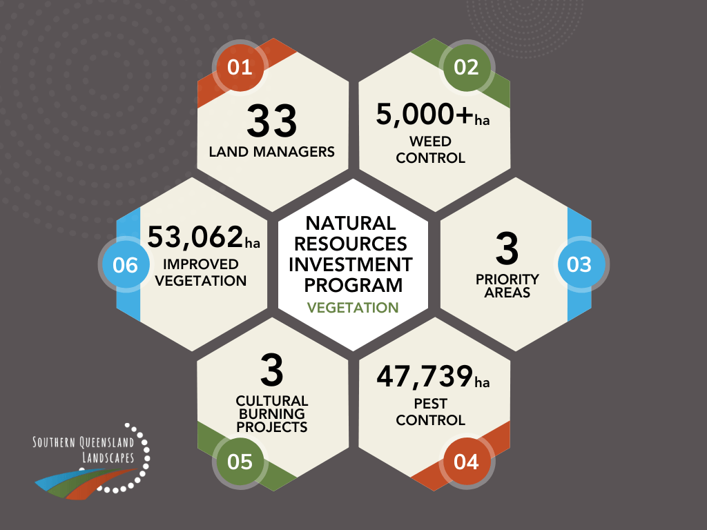 Northern Basin Riverbanks Project