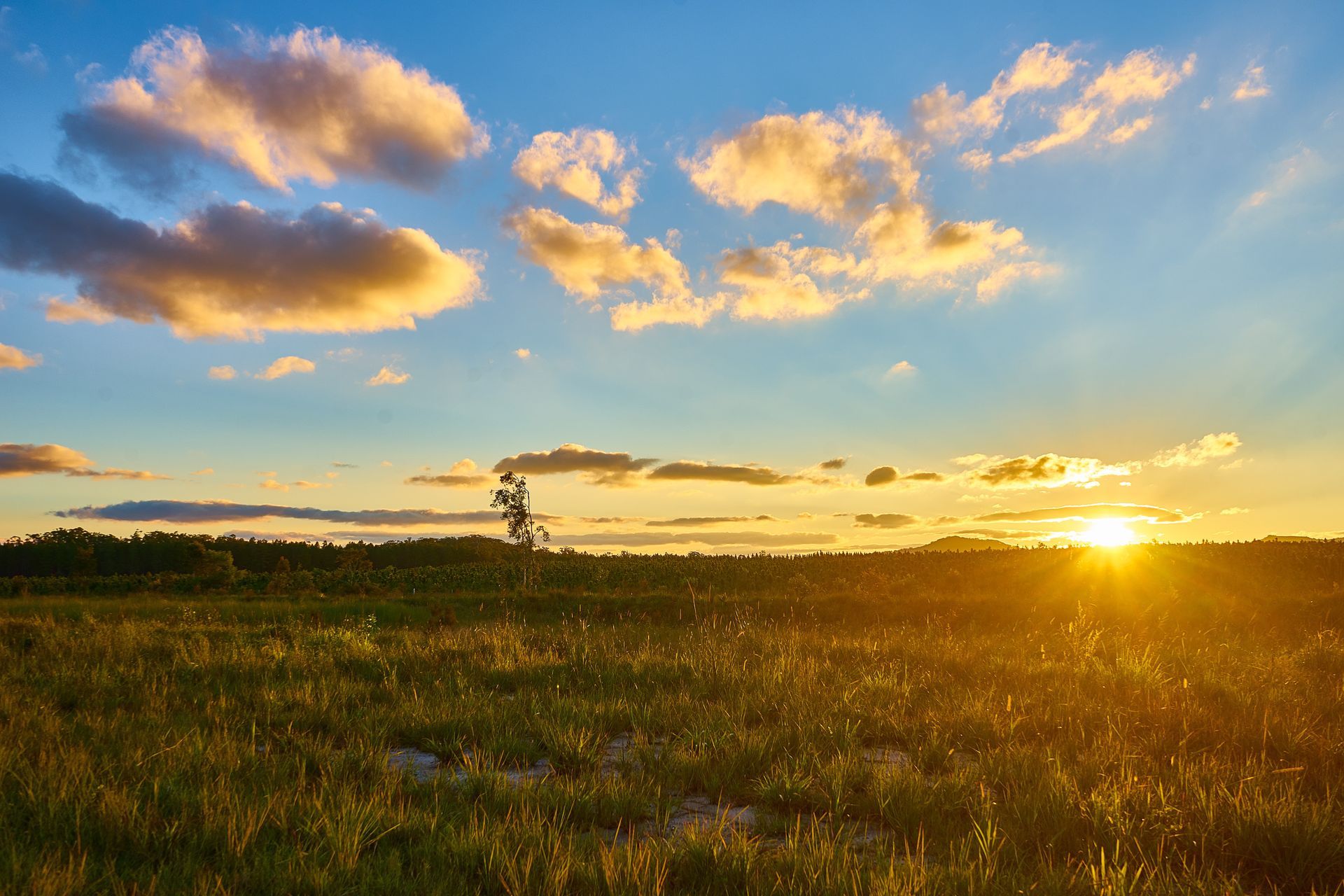 Sunset over a grassy field with scattered clouds and warm golden light