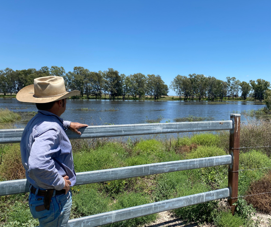 Land manager riparian area