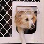 Phil's Glass and Aluminium images 06