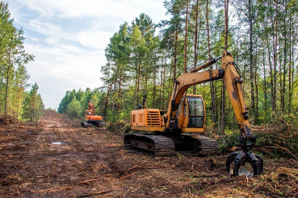 Land Clearing