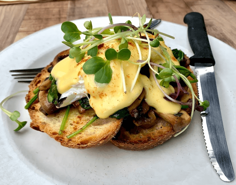 Black Bear Café Breakfast  - Best restuarant in Bellingen NSW