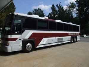 bus bus