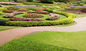 Gardens with flowers and lush grass