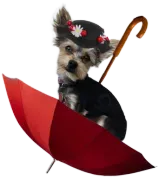 Mary Puppins LLC Logo