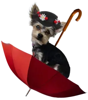 Mary Puppins LLC Logo