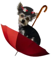Mary Puppins LLC Logo