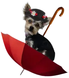 Mary Puppins LLC Logo