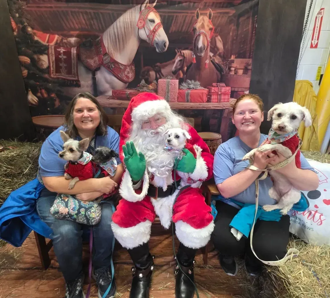 Two people sit with Santa and three small dogs in front of a festive backdrop featuring two horses and holiday gifts.