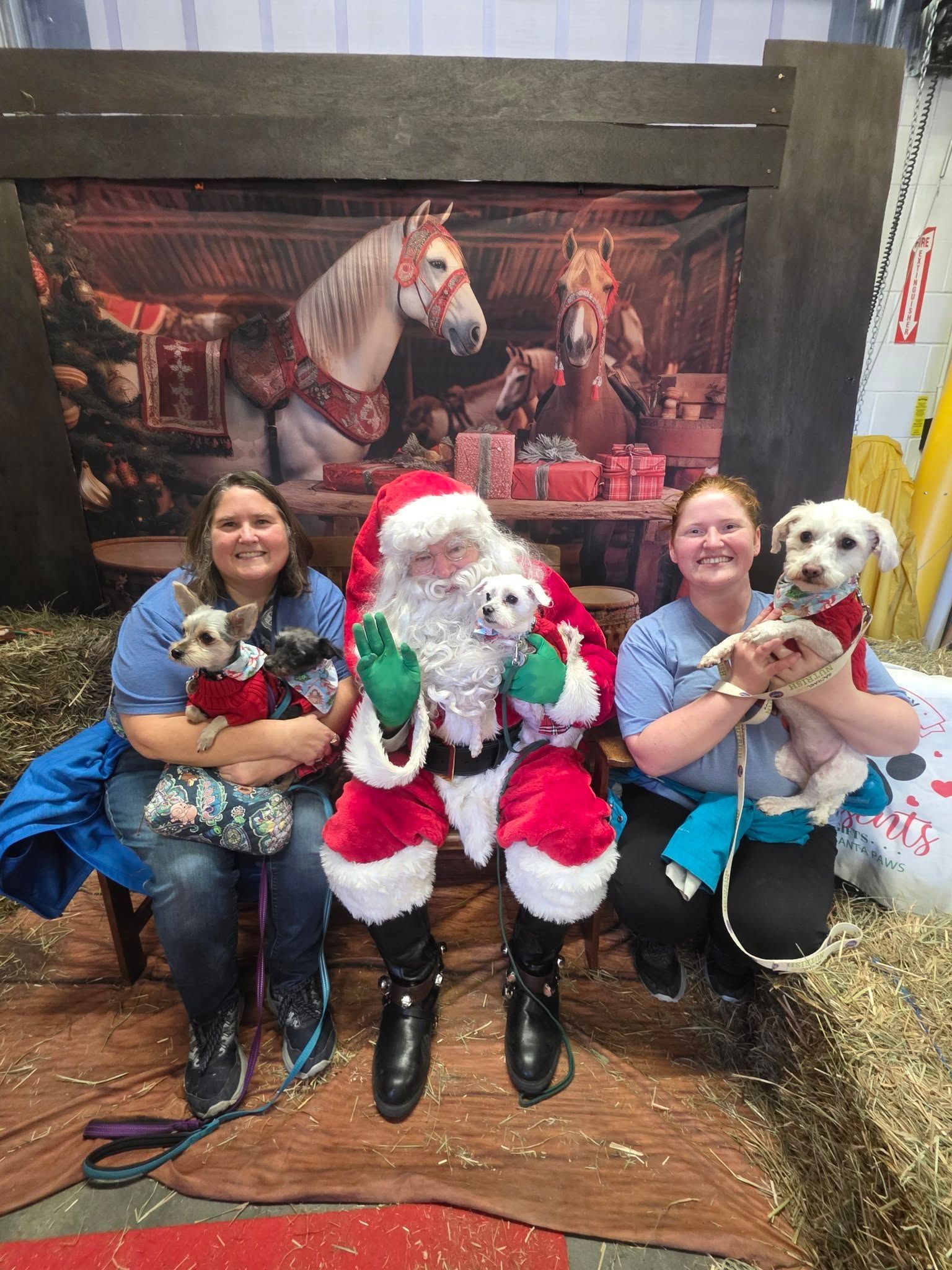 Santa posing with two women and dogs in front of a festive holiday display