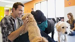 A smiling man pets a tan dog while two other dogs and a person sit nearby in an indoor animal facility.
