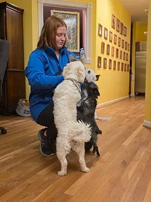 A person in a blue jacket crouches in a room with yellow walls, petting a white dog and a dark-furred dog standing upright.