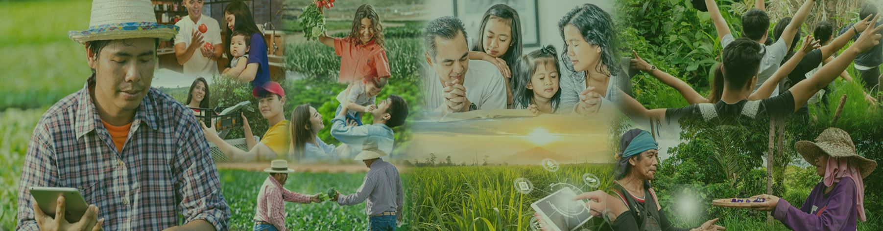 A collage of pictures of people working in a field.