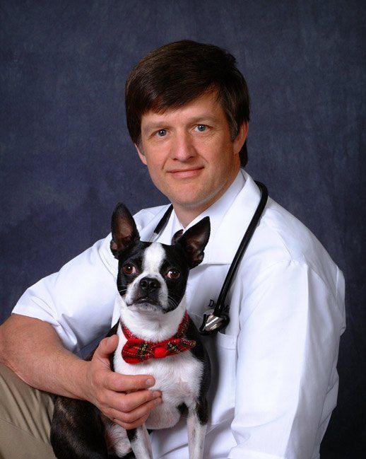 Dr. Neil Moss—Kaysville Veterinary Hospital in Kaysville, UT