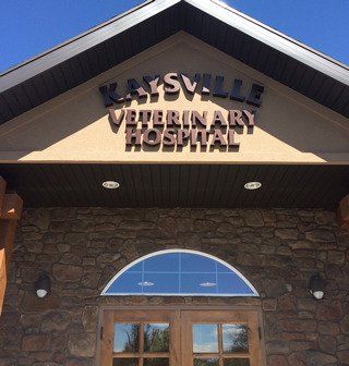 Kaysville veterinary hospital—Kaysville Veterinary Hospital in Kaysville, UT