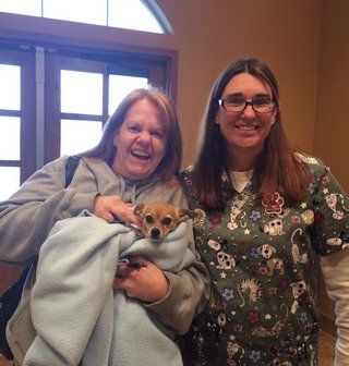 Dog in veterinary hospital—Kaysville Veterinary Hospital in Kaysville, UT