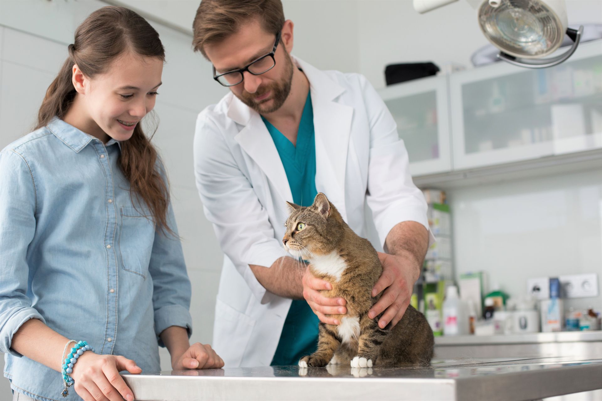Doctor and girl looking at cat on table.